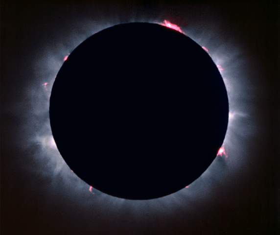 Sun in eclipse shows coronal activity