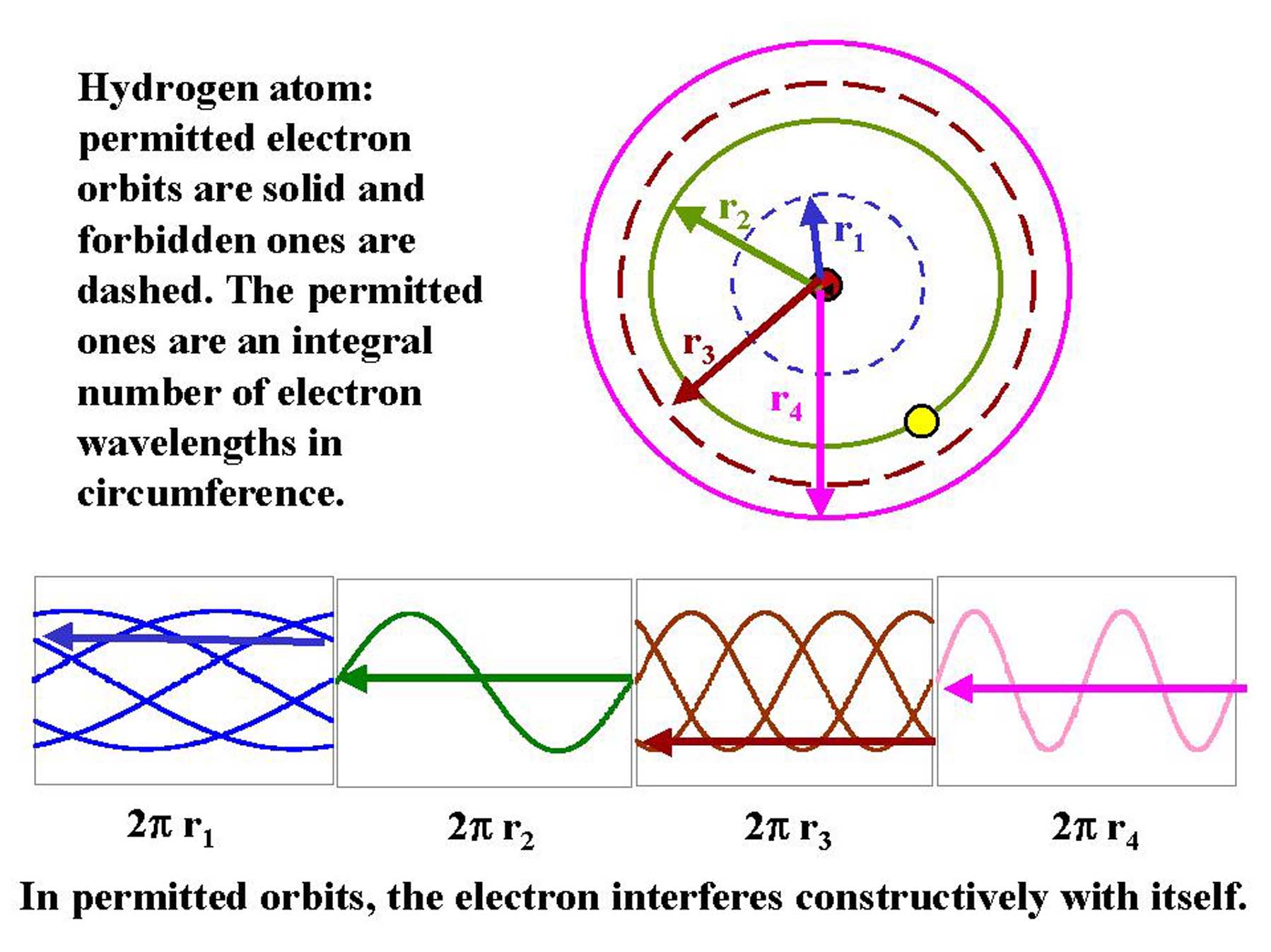 Permitted and forbidden electron orbits in a hydrogen atom