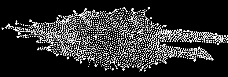 The Herschels' map of the Milky Way