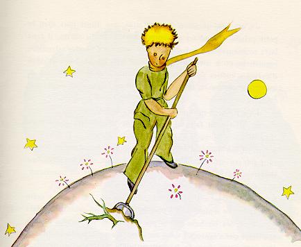 littleprince.jpg (21945 bytes)