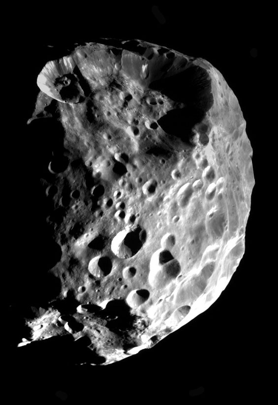 phoebe.jpg (64590 bytes)