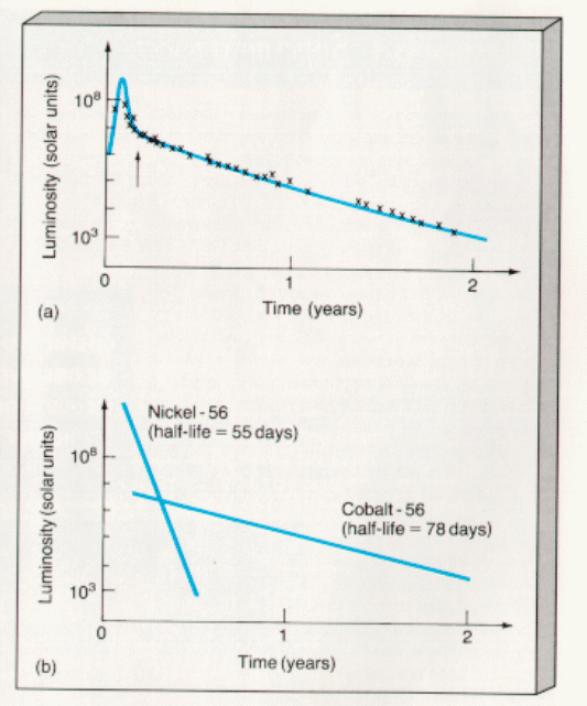 light curve decay matches the half lives of nickel and cobalt