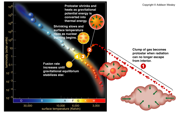 Summary of process of stelalr formation, on the H-R diagram