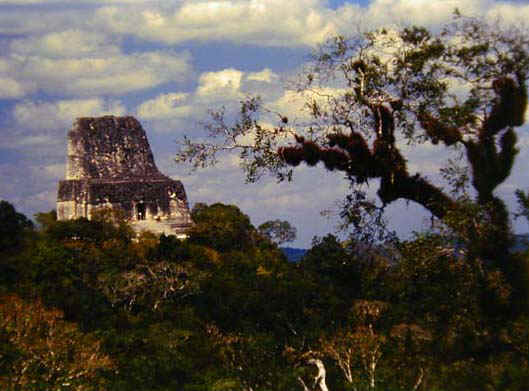 Temple VI, Tikal