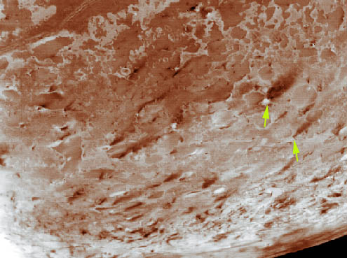 geysers on Triton