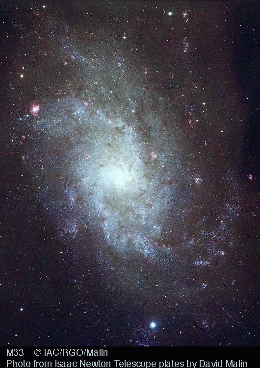 Color image of M33