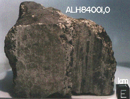 Meteorite ALH 84001,0 from Mars