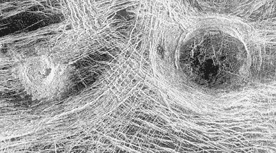 venus_cratercorona.gif (46845 bytes)