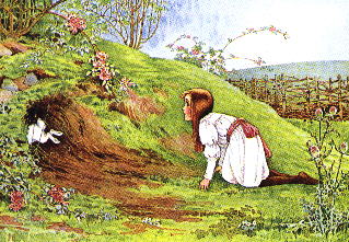 Alice crawling into the rabbit hole