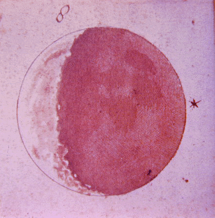 Galileo's drawing of the moon