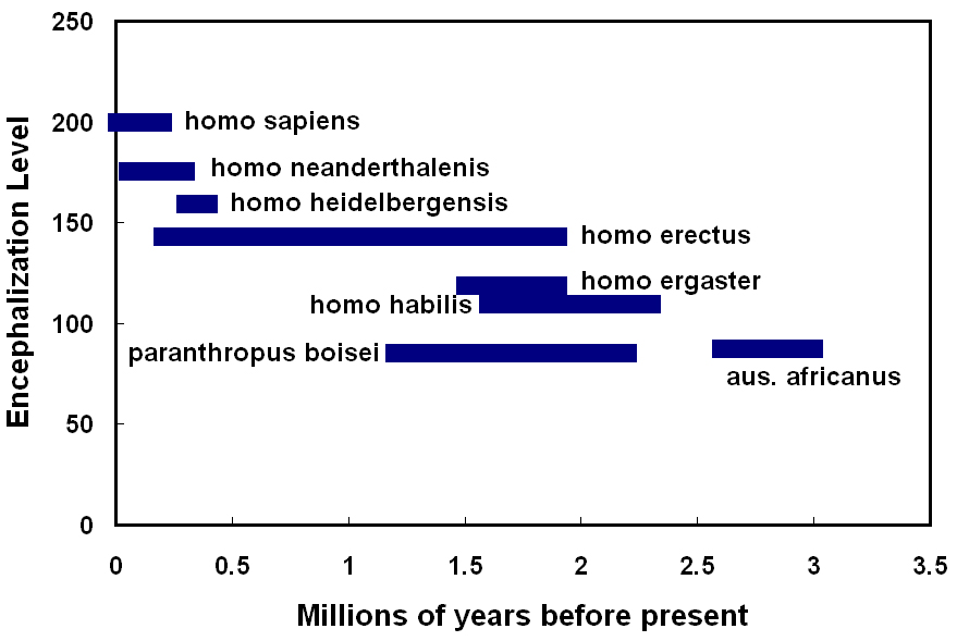 humanenc.jpg (124592 bytes)