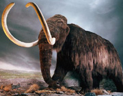 mammoth.jpg (14353 bytes)