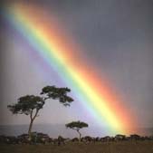 rainbow.jpg (6687 bytes)