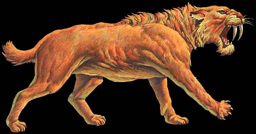 smilodon.jpg (23693 bytes)