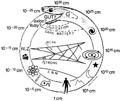 Drawing of Uroboros as model of Universe