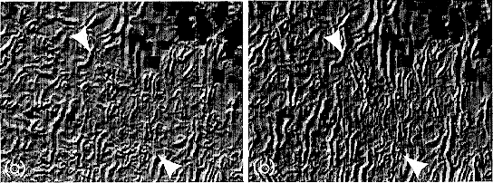 Lineaments in a magnetic map