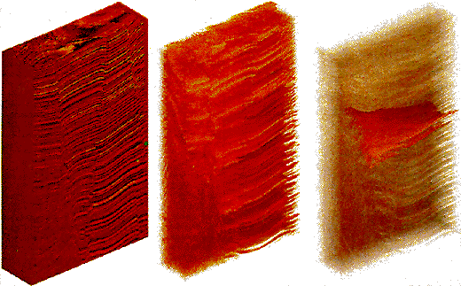 Visualizing a reflection data volume