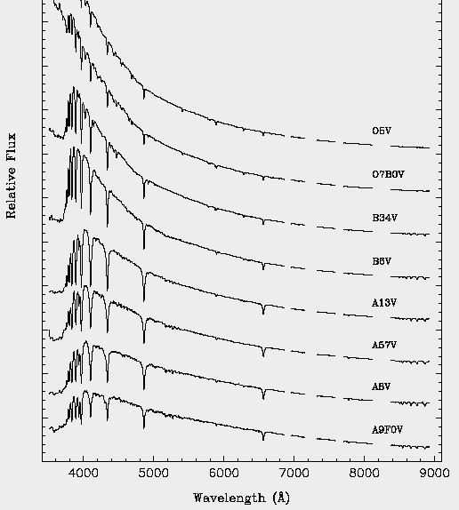 dependence of hydrogen absorption strength on stellar type