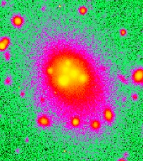 a Cd galaxy with multiple nuclei