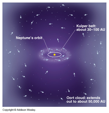 Artist's comcept of Oort Cloud and Kuiper Belt