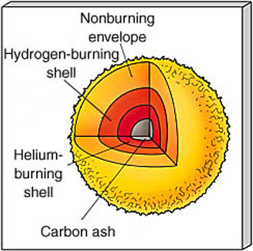 Interior structure of a helium-burning star