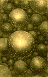 wrightmilkyway.jpg (12411 bytes)