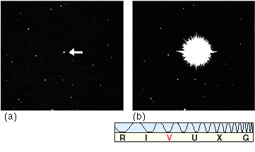 nova.jpg (26222 bytes)